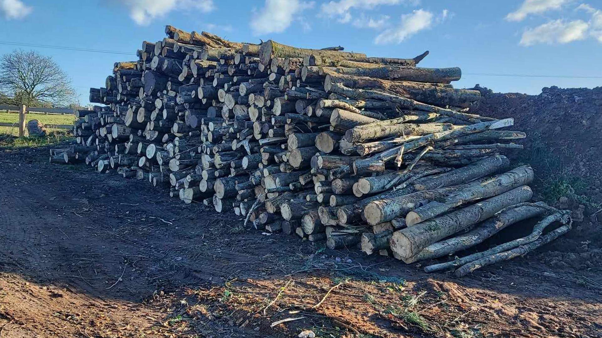 Nailsea Logs
